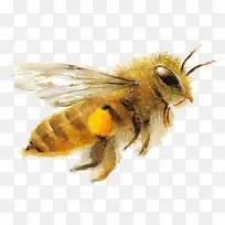 �����ɫ�۷�-������