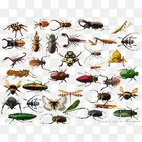 ����ϼ�-������