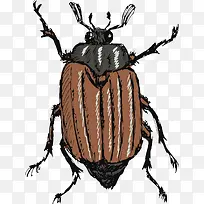 知了矢量-空若网 知了矢量-空若网