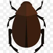 土褐色硬壳类昆虫-空若网 土褐色硬壳类昆虫-空若网