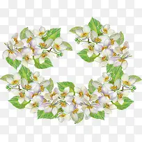 水彩手绘茉莉花-空若网 水彩手绘茉莉花-空若网