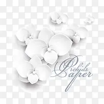 ��ɫʸ������װ���ز�-������