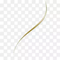 车身首饰.金线-空若网 车身首饰.金线-空若网