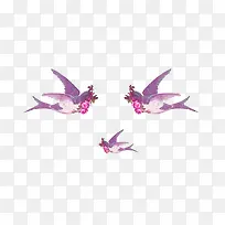 燕子动物素材-空若网 燕子动物素材-空若网