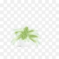 卡通盆景-空若网 卡通盆景-空若网