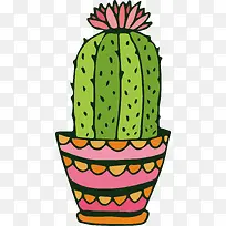 墨西哥仙人草-空若网 墨西哥仙人草-空若网