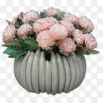 粉色水彩花盆-空若网 粉色水彩花盆-空若网