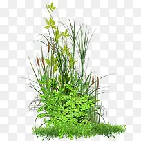 «έ�̲� ��ɽ��png�ز�-������