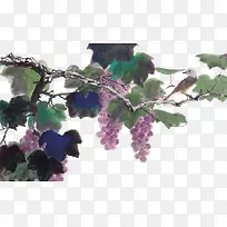 Ë®²Ê»ÆÏÌÑ-¿ÕÈôÍø Ë®²Ê»ÆÏÌÑ-¿ÕÈôÍø