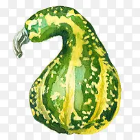 手绘水彩蔬菜南瓜-空若网 手绘水彩蔬菜南瓜-空若网