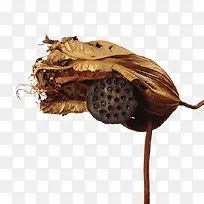 ��ή������-������