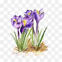 ��ɫˮ�ɻ�-������