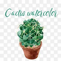 仙人球绿色矢量图-空若网 仙人球绿色矢量图-空若网