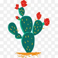 红色花朵的仙人掌-空若网 红色花朵的仙人掌-空若网