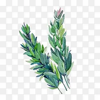 水彩叶子-空若网 水彩叶子-空若网