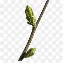 һ֧��֦��ѿ-������