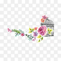 水彩花卉-空若网 水彩花卉-空若网