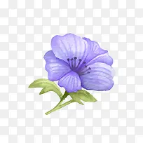 水彩植物-空若网 水彩植物-空若网