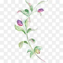 Ë®²Ê»¨Í¼-¿ÕÈôÍø Ë®²Ê»¨Í¼-¿ÕÈôÍø