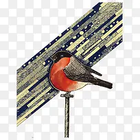 矢量小鸟-空若网 矢量小鸟-空若网