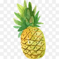 夏季水果手绘菠萝-空若网 夏季水果手绘菠萝-空若网