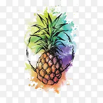 矢量水彩菠萝-空若网 矢量水彩菠萝-空若网