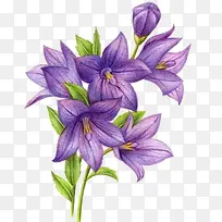 �ֻ滨��png-������