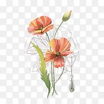 矢量虞美人-空若网 矢量虞美人-空若网