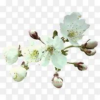 ˮ�ʰ׻�����-������