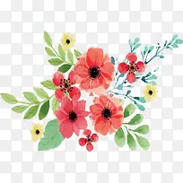 ��ɫˮ�ʻ���-������