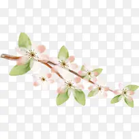 ��֦�ϵĻ���-������