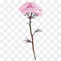 ��ɫ����ˮ�����ŷ�-������