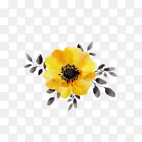 卡通手绘黄色扶桑花-空若网 卡通手绘黄色扶桑花-空若网