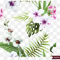 ��ɫ��ɣ��-������