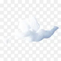 °×É«Çð±ÈÌØÊ¥µ®½ÚͼƬ-¿ÕÈôÍø °×É«Çð±ÈÌØÊ¥µ®½ÚͼƬ-¿ÕÈôÍø