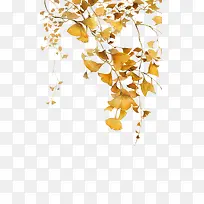 ����Ҷ��-������