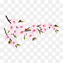 ��֦-������