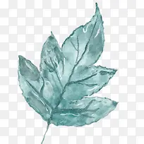 ˮ��Ҷ��-������