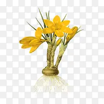 ˮ�ʻ�����-������