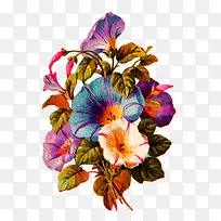 ˮ�ʻ���-������