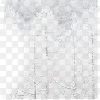 冬天白色的树-空若网 冬天白色的树-空若网