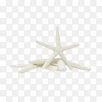 白色海星-空若网 白色海星-空若网