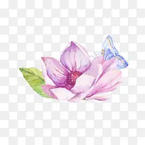 手绘水彩粉色花朵蝴蝶-空若网 手绘水彩粉色花朵蝴蝶-空若网