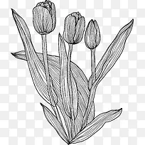 ���軨��-������