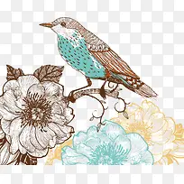 中国风鸟彩色-空若网 中国风鸟彩色-空若网