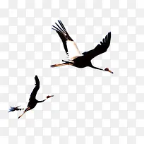 �ſ����ĺ�-������