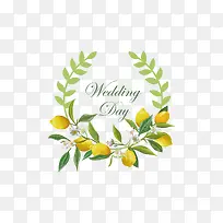 手绘柠檬果-空若网 手绘柠檬果-空若网