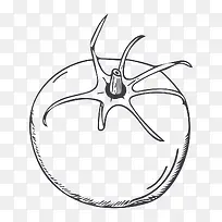 线描西红柿-空若网 线描西红柿-空若网