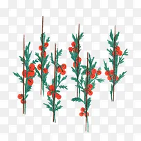 ��ͨˮ�ʻ�������-������