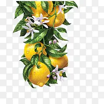 Ë®²Ê»ÄûÃÊ-¿ÕÈôÍø Ë®²Ê»ÄûÃÊ-¿ÕÈôÍø